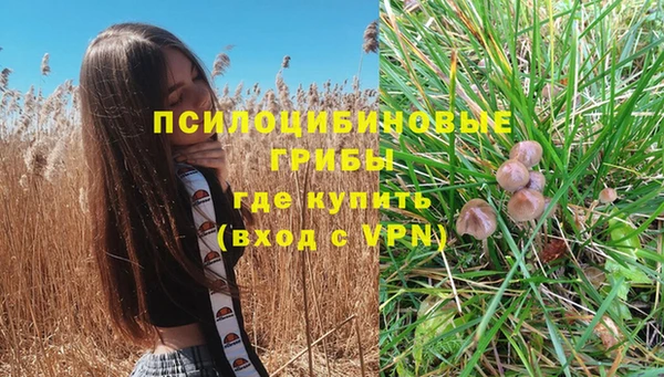 гашик Арсеньев