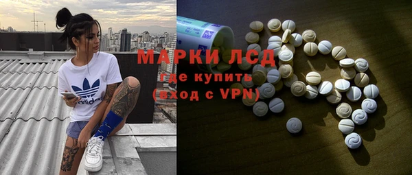 гашик Арсеньев